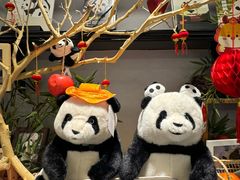 -轩客会(熊猫书店)