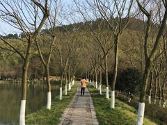 -游子山休闲旅游区