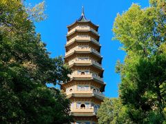 -灵谷景区