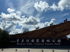 -茅兰沟国家森林公园