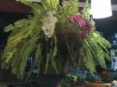 -Log Home Boutique Hotel