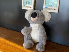 -Jamaicablue Coffeeshop(中央广场店)