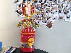 -PETKIT 小佩宠物·低压洗护·美容·寄养(安远店)