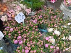 -循礼门鲜花花市(武汉循礼门店)