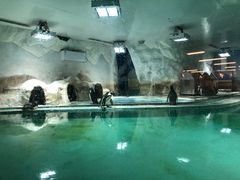 -北戴河圣蓝海洋公园
