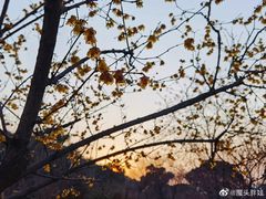 -无锡梅园公园