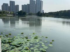 -苏州东太湖生态园