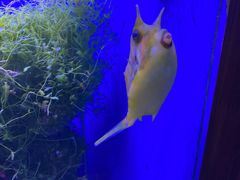 -多彩贵州城极地海洋世界