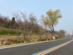 -羊山湖公园