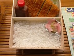 猪排便当-矢场猪(名古屋站三井楼北馆店)