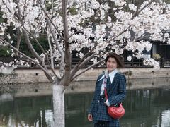 -武汉大学-樱园