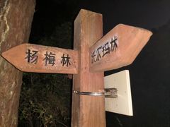 -狐尾山公园