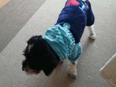 -天虹国际大酒店-停车场