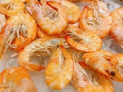 -沈阳和平艾美酒店新食谱西餐厅