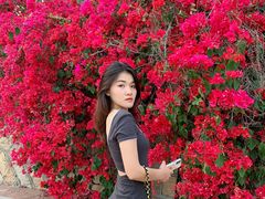 -厦门国家会计学院