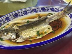 -长兴岛郊野公园农场食堂
