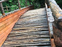 -青峰峡国家森林公园