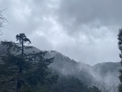 -黄山风景区
