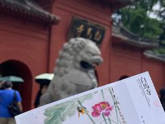 -洛阳白马寺