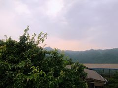 -大金鹰园
