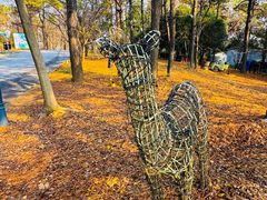 -大塘金香草谷