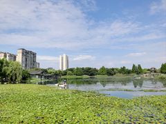 -洋湖国家湿地公园