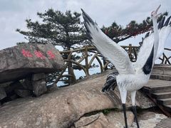 -罗田薄刀峰风景区