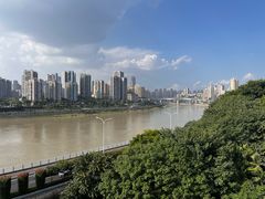 -李子坝梁山鸡(李子坝大鸡哥店)