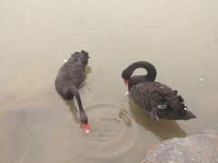 iphone_upload_pic-上海怡沁园度假酒店