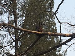 -辽沈战役纪念馆