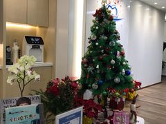-Dr.Z dental仁康种植矫正中心