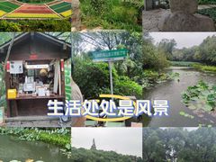-八卦田遗址公园