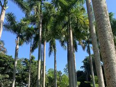 -中国科学院西双版纳热带植物园