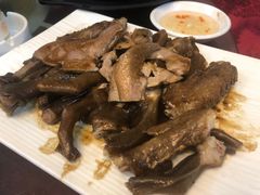 -姚林轩