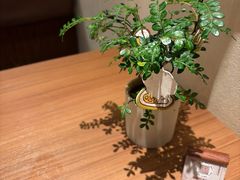 -CURRY YA 熟成咖哩專門店(深圳湾万象城店)