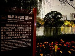 -翠湖公园