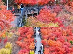 -狼牙山风景区