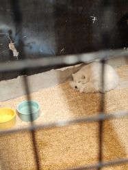 -酷嗒动物文化乐园(cutezoo西溪乐天城店)