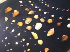 -青岛贝壳博物馆