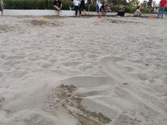 -九龙湖公园