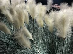 -稻鲜记潮汕砂锅粥