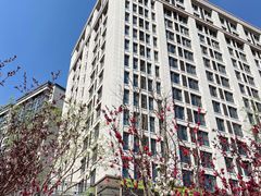 -杨兮眼视光工作室