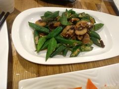 绿野仙踪-天一朴素(武汉大学店)