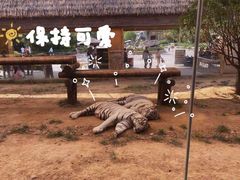 -郑州银基国际旅游度假区