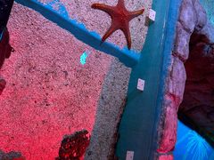 -正佳极地海洋世界