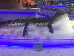 -澜悦港海鲜体验主题餐厅