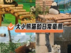-柳州市动物园