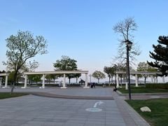 -幸福门