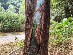 -黄埔油麻山森林公园