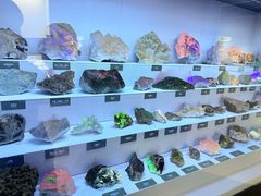 -湖南省地质博物馆
